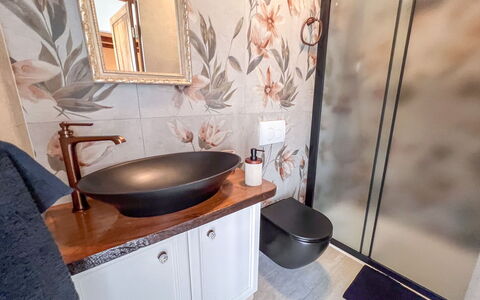 Vila Jurja: Plumbing Fixture, Bathroom Sink, Interior Design, Bathroom, Sink, Plumbing, Mirror, Flowerpot, Tap, Bathroom Cabinet