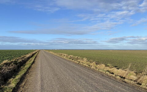Tuki - 10Km from the Sea: Estate, Farm