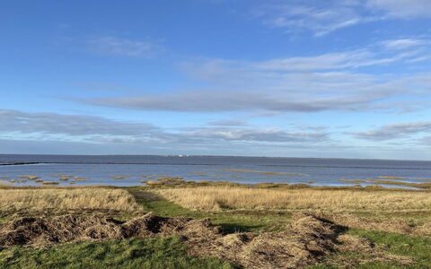 Tuki - 10Km from the Sea: Blue, Shrub, Cottage, Groundcover, Garden, Estate, Shade, Landscaping, Farmhouse, Eco Hotel