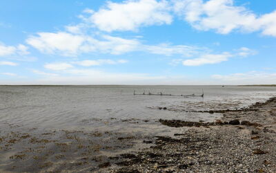Kari - 50M from the Sea