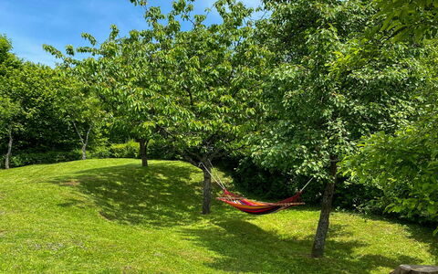 Maklen: Branch, Grassland, Garden, Groundcover, Lawn, Trunk, Shade, Woody Plant, Meadow