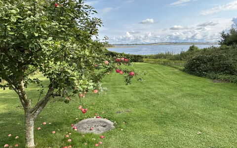 Nico - 70M to the Fjord: Blue, Swimming Pool, Furniture, Outdoor Furniture, Resort, Chair, Shade, Eco Hotel, Flowerpot