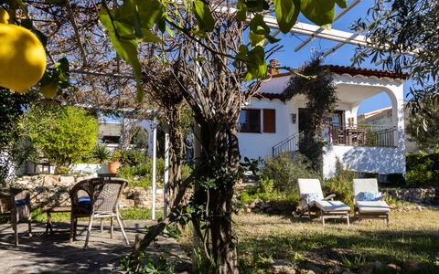 La Unica: Shrub, Garden, Shade, Spring, Backyard, Yard, Landscaping, Cottage, Hacienda