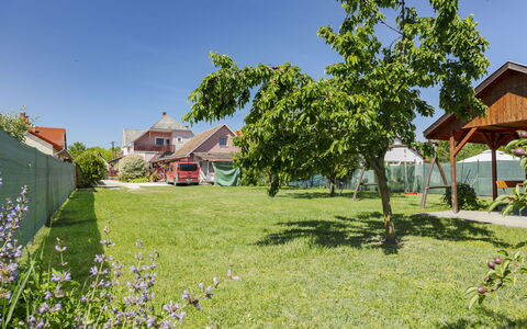 Gyula: Summer, Garden, Lawn, Spring, Shade, Yard, Backyard, Park, Landscaping, Farmhouse