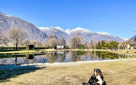 Lucia: Swimming Pool, Resort, Apartment, Hotel, Mansion, Villa, Shade, Hacienda, Resort Town