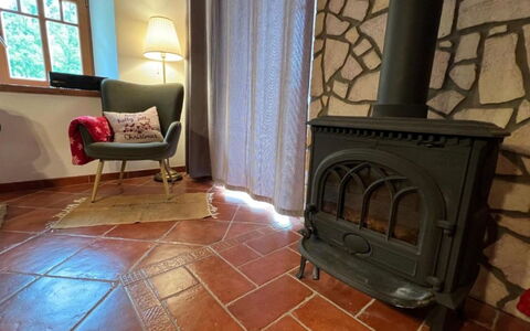 Vidochov: Flooring, Floor, Hearth, Wood Stain, Tile, Brick, Wood Flooring, Natural Material, Living Room, Wood-Burning Stove