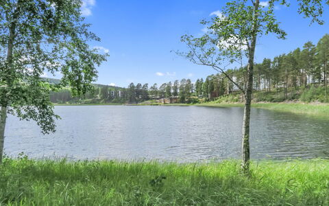 Katinkulma 1: Water Resources, Water, Body Of Water, Green, Tree, Natural Environment, Nature, Natural Landscape, Bank