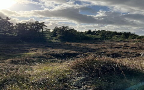 Ibbe - 3.5Km from the Sea: Sky, Cloud, Grass, Natural Environment, Vegetation, Grassland, Shrub, Ecoregion, Wilderness, Cumulus