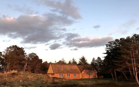 Ibbe - 3.5Km from the Sea: Estate, Shade, Driveway, Farmhouse