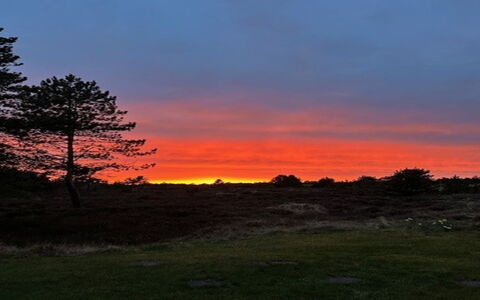 Ibbe - 3.5Km from the Sea: Sky, Nature, Branch, Afterglow, Horizon, Orange, Dusk, Sunset, Cloud, Natural Landscape
