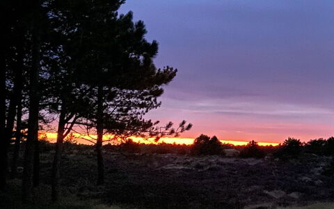 Ibbe - 3.5Km from the Sea: Sky, Branch, Nature, Leaf, Afterglow, Natural Landscape, Dusk, Sunset, Horizon, Orange