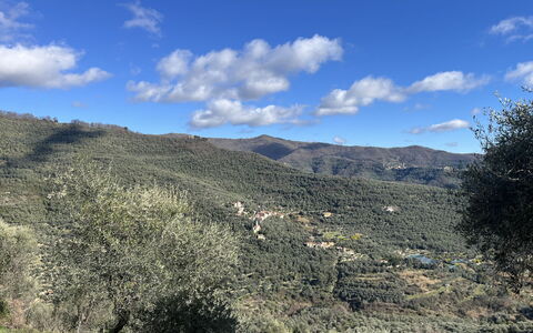 Paola: Mountainous Landforms, Mountain, Vegetation, Hill, Highland, Ecoregion, Plant Community, Landscape, Wilderness, Terrain