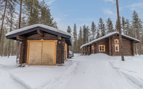 Juohde: Tree, Bank, House, Cottage, Lake, Pond, Forest, Log Cabin
