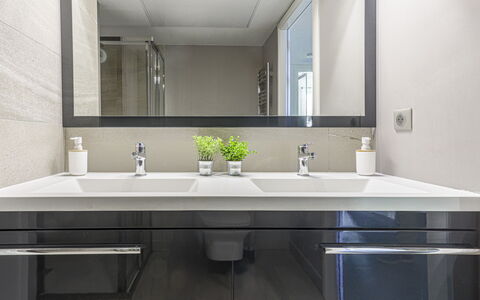 Prestige View: Bathroom Sink, Plumbing Fixture, Interior Design, Sink, Bathroom Cabinet, Mirror, Countertop, Bathroom, Tap, Cabinetry