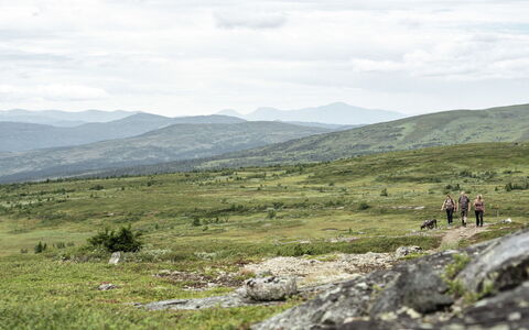 Trillevallen 7: Mountainous Landforms, Cloud, Grass, Grassland, Hill, Mountain, Ecoregion, Highland, Wilderness, Landscape