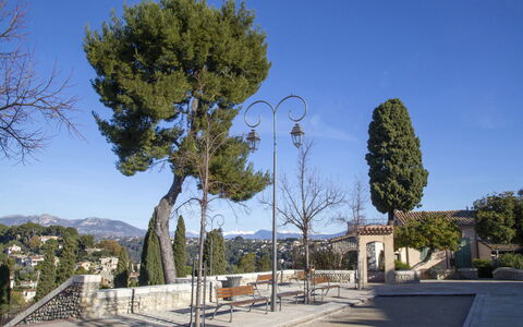 Cagnes Provencal: Tree, Public Space, Shade, Walkway, Evergreen, Landscaping, Pine Family