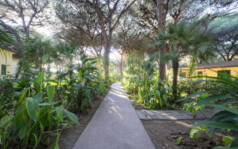 Nature & Country Resort Near The sea: Vegetation, Garden, Woody Plant, Shade, Trail, Landscaping, Walkway, Botanical Garden, Driveway, Plantation