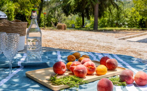 Casa Iume: Fruit, Produce, Food, Tableware, Natural Foods, Apple, Tablecloth, Peach, Picnic