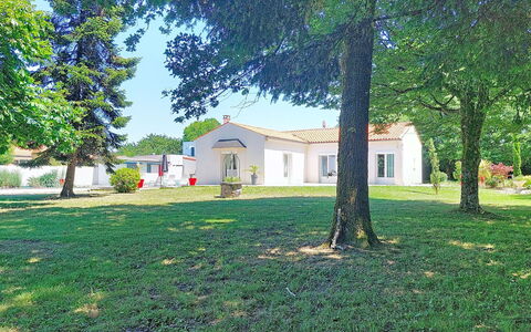 Jaffe: Tree, Leaf, Home, Residential Area, House, Cottage, Estate, Human Settlement, Lawn