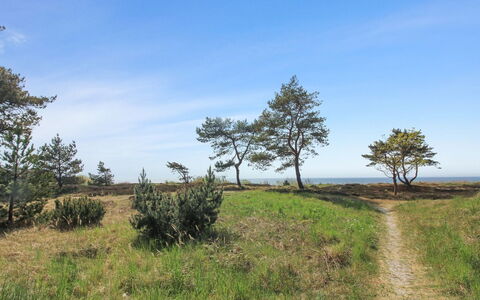 Eick - 800M from the Sea: Apartment, Condominium, Estate, Balcony, Villa, Hotel