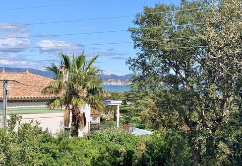 Carina: Sky, Blue, Estate, Evergreen, Eco Hotel