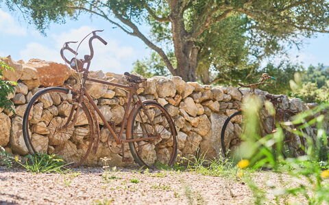 Ca'N Galeri: Wheel, Bicycle, Bicycle Wheel, Bicycle Fork