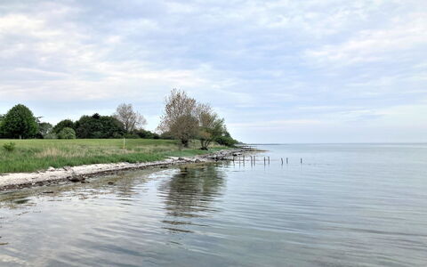 Bjart - 150M from the Sea: Interior Design, Ceiling, Apartment, Flooring, Furniture, Floor, Room, Lighting, Home, Couch