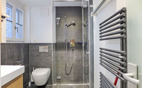 Grindelwald 220: Plumbing Fixture, Flooring, Bathroom, Interior Design, Floor, Tap, Plumbing, Sink, Tile, Shower