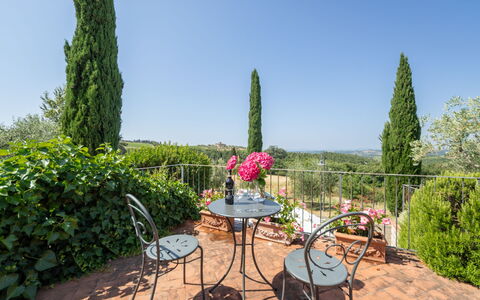 Gaiole in Chianti 915: Shrub, Furniture, Outdoor Furniture, Outdoor Table, Garden, Chair, Landscaping, Kitchen & Dining Room Table, Flowerpot