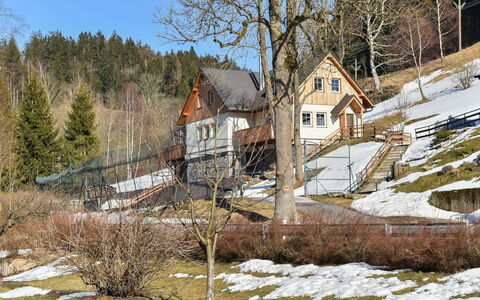 Dolní Lysečiny: Tree, House, Home, Cottage, Residential Area, Roof, Human Settlement, Rural Area, Slope, Winter