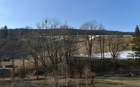 Dolní Lysečiny: Tree, Branch, Hill, Twig, Trunk, Fell, Winter, Slope, Woodland, Shrubland