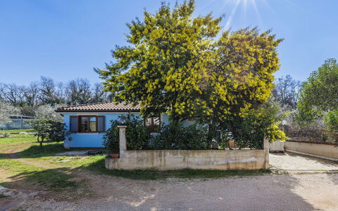 Villa Mariuccia: Blue, Tree, Leaf, Branch, Home, Shade, Woody Plant, Sunlight, Cottage, Garden