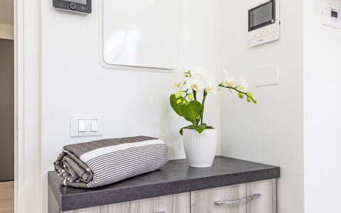 Cecina 310: Interior Design, Cabinetry, Furniture, Room, Countertop, Plumbing Fixture, Home Appliance, Bathroom Cabinet, Houseplant, Tap