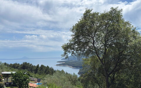 Nira: Blue, Leaf, Vegetation, Plant Community, Coastal And Oceanic Landforms, Sea, Nature Reserve, Hill Station, Jungle, Ocean