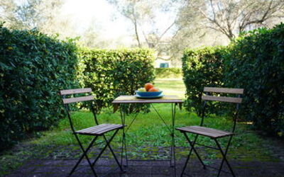 Monolocale Giglio di Mare: Furniture, Outdoor Furniture, Outdoor Table, Outdoor Bench, Groundcover, Spring, Sunlight, Shade, Garden, Chair