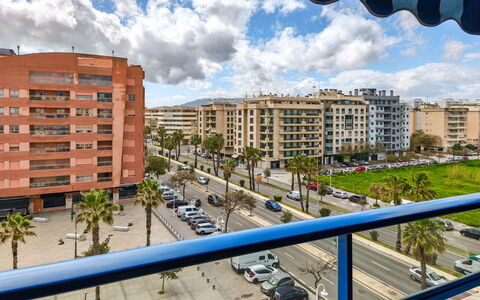 Malaga Pacifico: Furniture, Flooring, Home, Floor, Chair, Shade, Apartment, Outdoor Furniture, Houseplant, Kitchen & Dining Room Table
