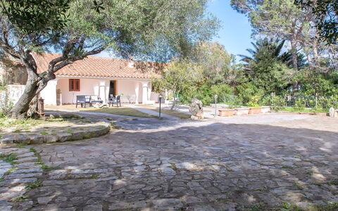Francesca: Shade, Flagstone, Garden, Woody Plant, Cottage, Estate, Landscaping, Backyard, Hacienda, Yard