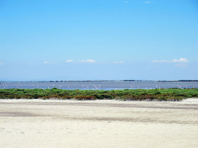 Cap Camargue F