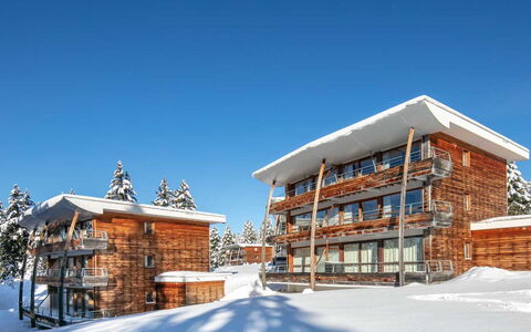 V du Bachat Silene D: Winter, Freezing, Snow, Apartment, Balcony, Daylighting, Log Cabin, Lumber