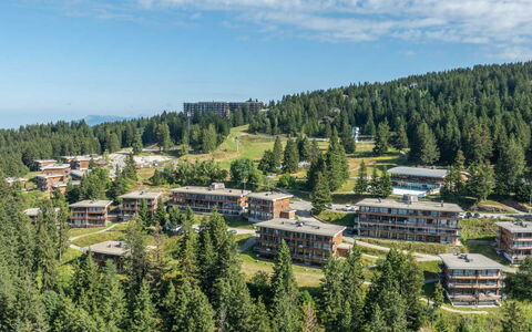 V du Bachat Melezes a: Hill Station, Larch, Forest, Evergreen, Tropical And Subtropical Coniferous Forests, Pine Family