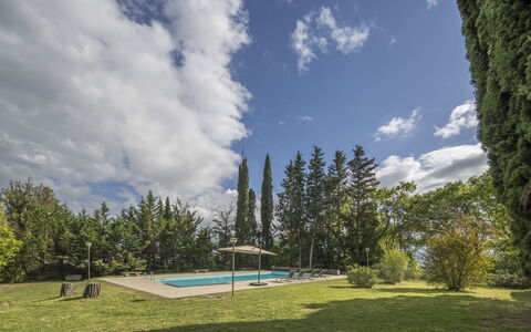 Cottage Monti Pet Friendly With Shared Pool: Tree, Land Lot, Shade, Larch, Landscaping, Evergreen, Swimming Pool, Pine Family