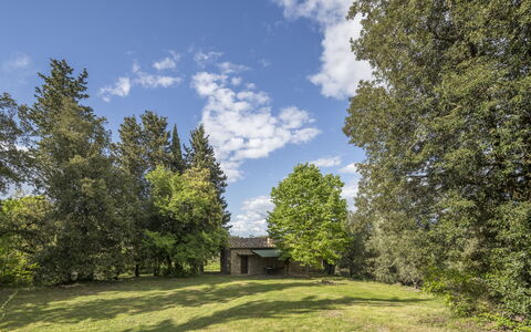 Cottage Monti Pet Friendly With Shared Pool: Tree, Grass, Leaf, Natural Environment, Branch, Nature, Vegetation, Shrub, Grassland, Landscape