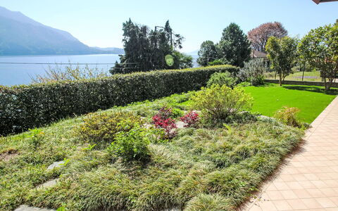 Anna: Green, Vegetation, Shrub, Garden, Landscape, Plant Community, Groundcover, Landscaping, Lawn