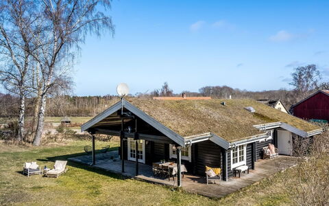 Franka - from the Sea: Vegetation, Shrub, Spring, Cottage, Garden, Shade, Backyard, Yard, Chair