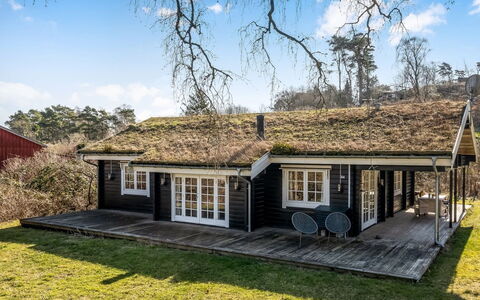 Franka - from the Sea: Vegetation, Shrub, Spring, Cottage, Garden, Shade, Backyard, Yard, Chair