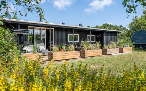 Fatima - 1Km from the Sea: Estate, Shade, Driveway, Farmhouse