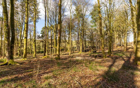 Doonans Cottage: Leaf, Branch, Tree, Natural Environment, Wood, Vegetation, Natural Landscape, Forest, Grove, Ecoregion
