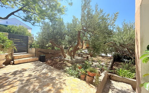 Appartamento Olive Garden, Ac, Wifi, Hvar: Shrub, Garden, Woody Plant, Shade, Landscaping, Backyard, Flagstone, Soil, Yard, Courtyard