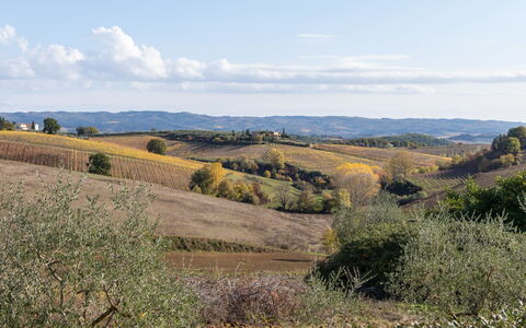 Villa L'elsa Beautiful Country Home With View: Vegetation, Natural Landscape, Grassland, Ecoregion, Landscape, Plain, Hill, Plant Community, Land Lot, Rural Area