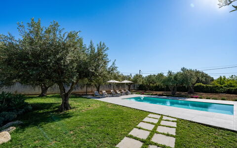 Villa Virginia: Swimming Pool, Garden, Shade, Resort, Landscaping, Estate, Backyard, Design, Courtyard, Yard